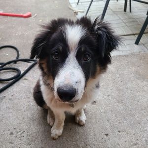 Meet your Posher, Minh chau